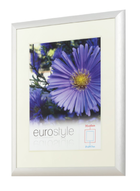 Galerie Cadres 8880