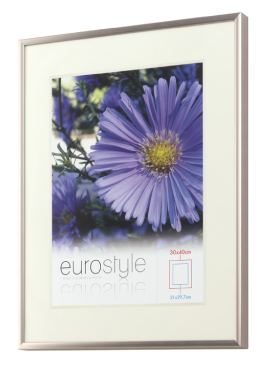 Silver metal picture frame with white matting featuring a purple flower image