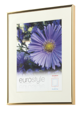 Slim gold metal picture frame with an off-white mount and a purple flower insert.
