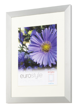 Silver Eurostyle picture frame with a white passe-partout and a purple flower photo.
