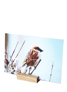 A photograph of a sparrow perched on a branch displayed in a wooden photo holder block